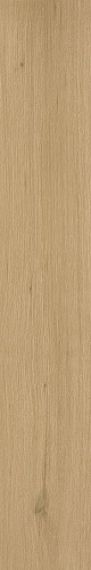 610010001419 Verity Natural 20x120