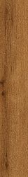 610010001420 Verity Cognac 20x120