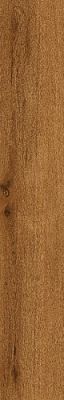 610010001420 Verity Cognac 20x120