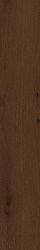 610010001421 Verity Hickory 20x120