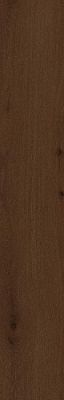 610010001421 Verity Hickory 20x120