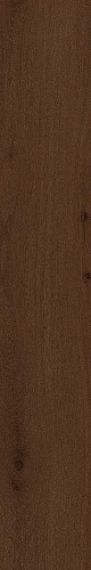 610010001421 Verity Hickory 20x120