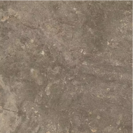 610010001441 Червиния Земля 45x45
