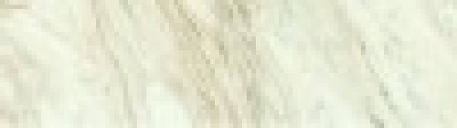 610010002137 Trevi White Brick Matt Ret 7x25