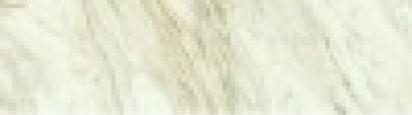 610010002137 Trevi White Brick Matt Ret 7x25