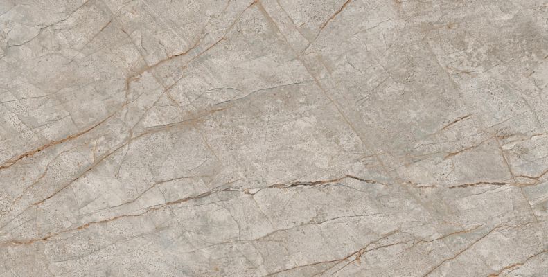 610010002173 Empire Silver Root Rett 80x160