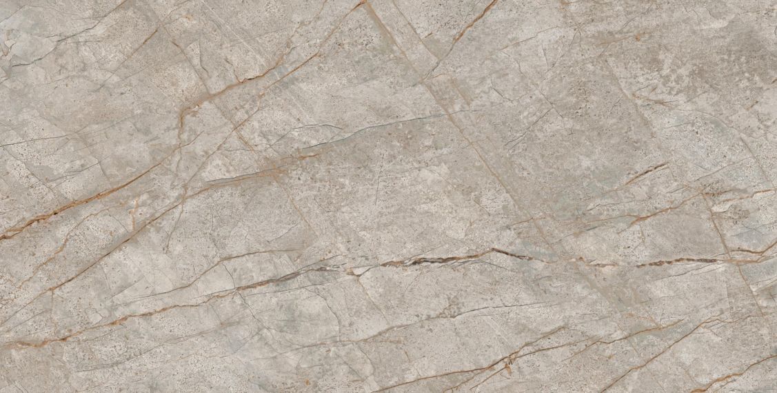 610010002173 Empire Silver Root Rett 80x160