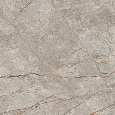 610010002180 Empire Silver Root Rett 80x80