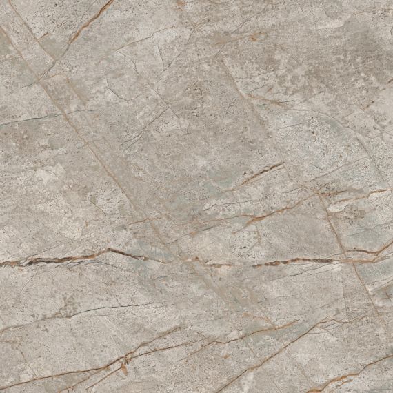 610010002180 Empire Silver Root Rett 80x80