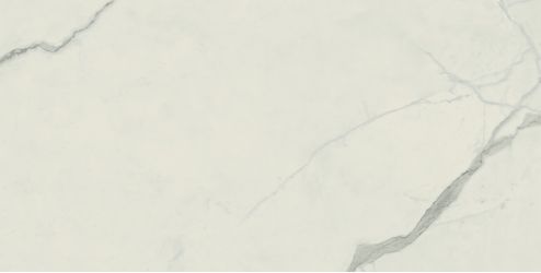 610010002184 Empire Statuario 60x120