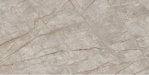 610010002187 Empire Silver Root 60x120