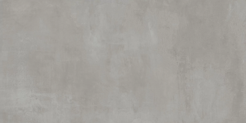 610010002649 Rinascente Grey Rect R9 60x120