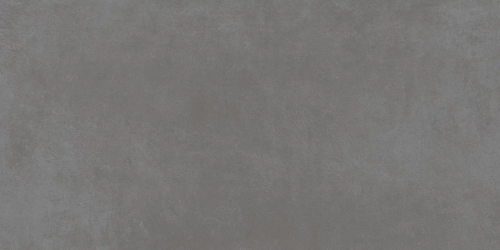 610010002651 Rinascente Smoke Rect R9 60x120