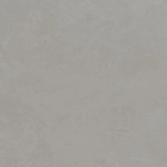 610010002654 Rinascente Grey Rect R9 60x60