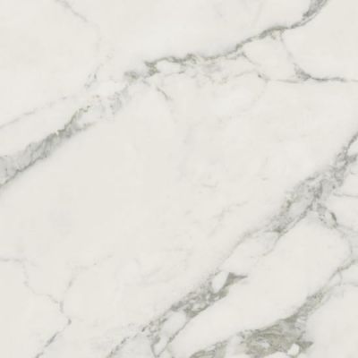 610010002749 Микеланджело Колд 60x60