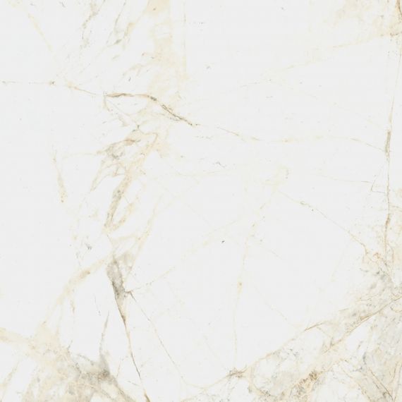 610010005761 Керамогранит Canova White Ret 60x60