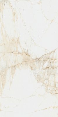 610010005765 Керамогранит Canova White Ret 60x120
