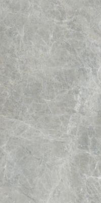 610010005767 Керамогранит Canova Grey Ret 60x120