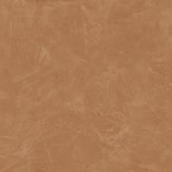 610015000565 Thesis Senape Lap 60x60