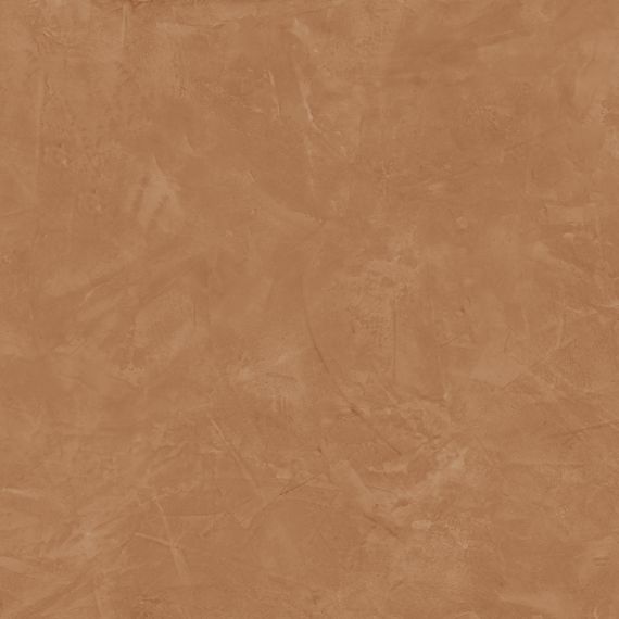 610015000565 Thesis Senape Lap 60x60
