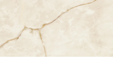 610015000633 Symphonyx Gold Lapp 80x160