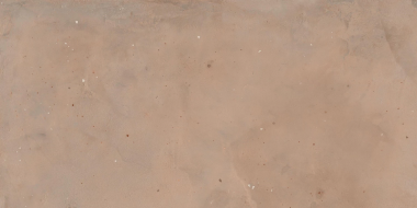 610080000233 Rinascente Terracotta Rect 60x120