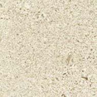 610090001653 Wise Ice Mist Bottone 7.2x7.2