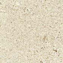 610090001653 Wise Ice Mist Bottone 7.2x7.2