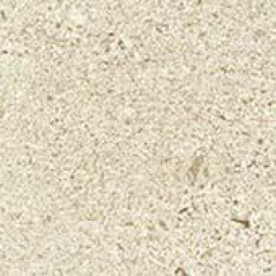 610090001653 Wise Ice Mist Bottone 7.2x7.2