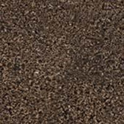 610090001656 Wise Moka Bottone 7.2x7.2