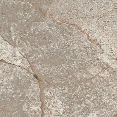 610090002383 Empire Silver Root Bottone 7,2x7,2