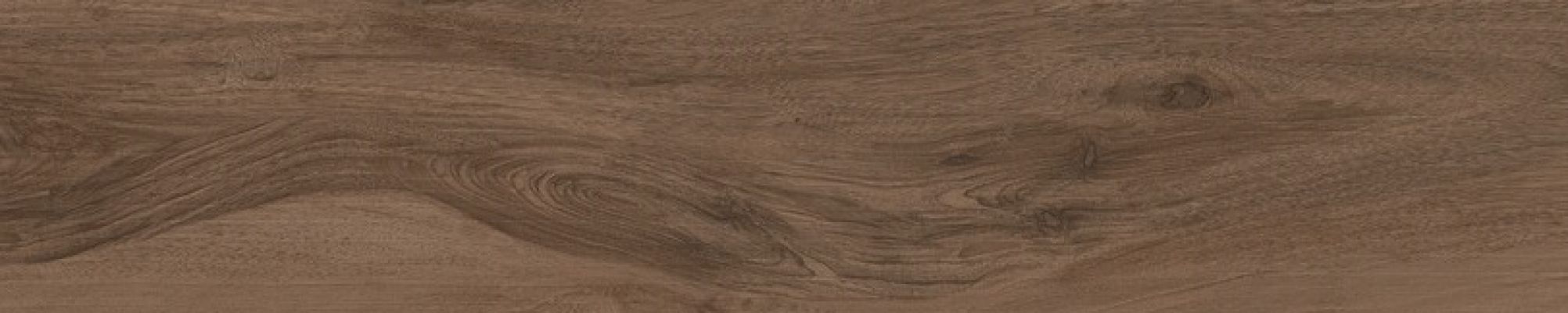 61051 SAVANNA CINNAMON RET 20x100