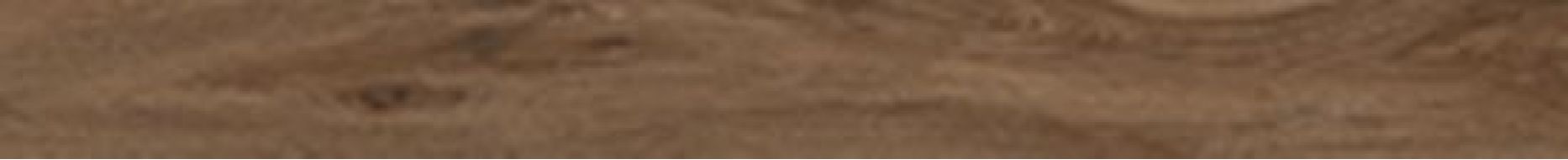 61054 SAVANNA CINNAMON RET 10x100