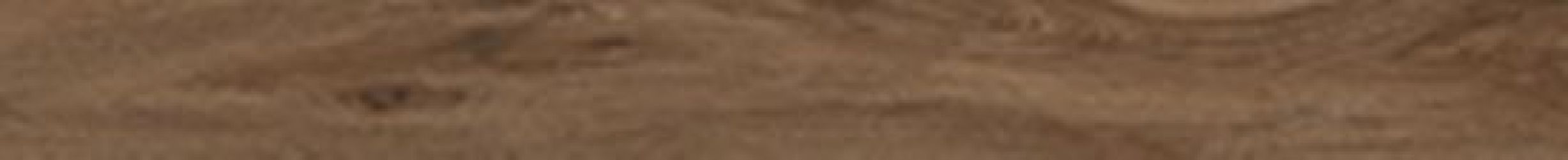 61054 SAVANNA CINNAMON RET 10x100