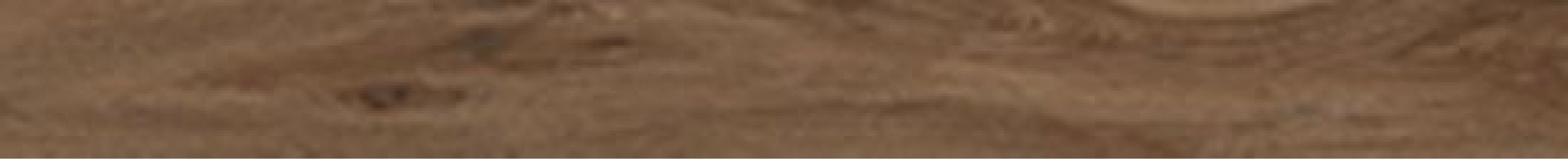61054 SAVANNA CINNAMON RET 10x100
