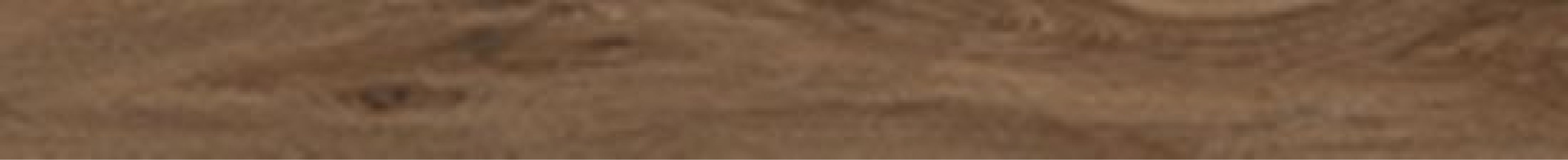 61054 SAVANNA CINNAMON RET 10x100