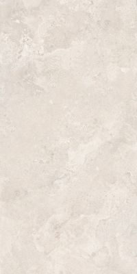 641 Wonderful Light 60x120