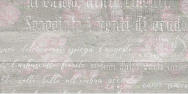652261 Abba Flowers серый 30х60