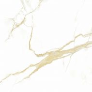65 (16604 Керамогранит) Helion Polished 60x60