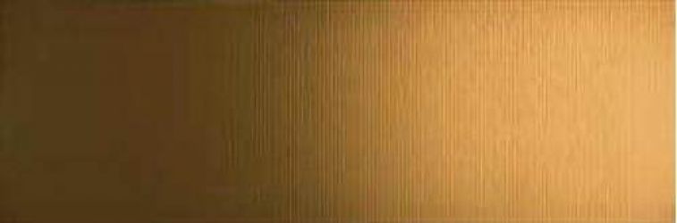 68700 ORO RIGA PVD 25x75