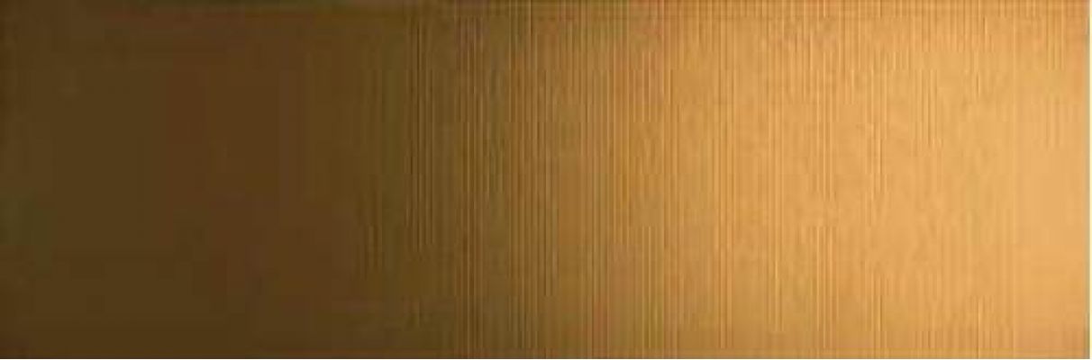 68700 ORO RIGA PVD 25x75