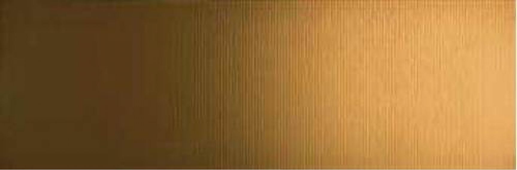 68700 ORO RIGA PVD 25x75