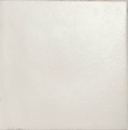 6RMM Bianco Antico 20*20