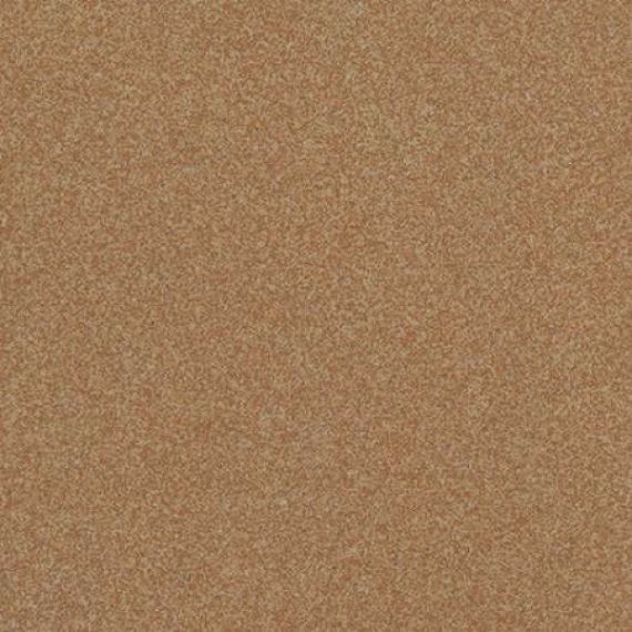 707029 Terranova Levigato 30x30