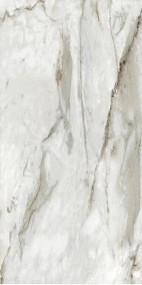 719 JASMINE 60X120