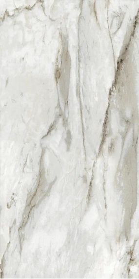 719 JASMINE 60X120