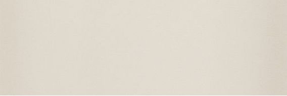 754894 SLIDE WHITE 10X30