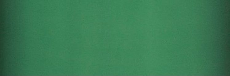 754895 SLIDE EMERALD 10X30