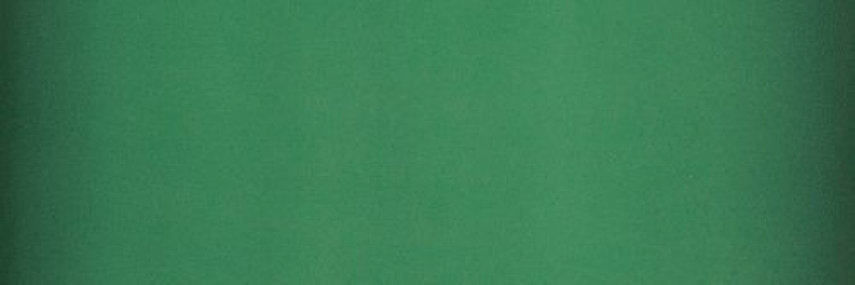 754895 SLIDE EMERALD 10X30