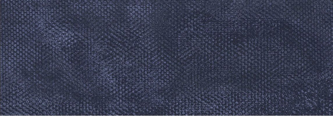 754909 CAMP ARMY CANVAS BLUE 10х30